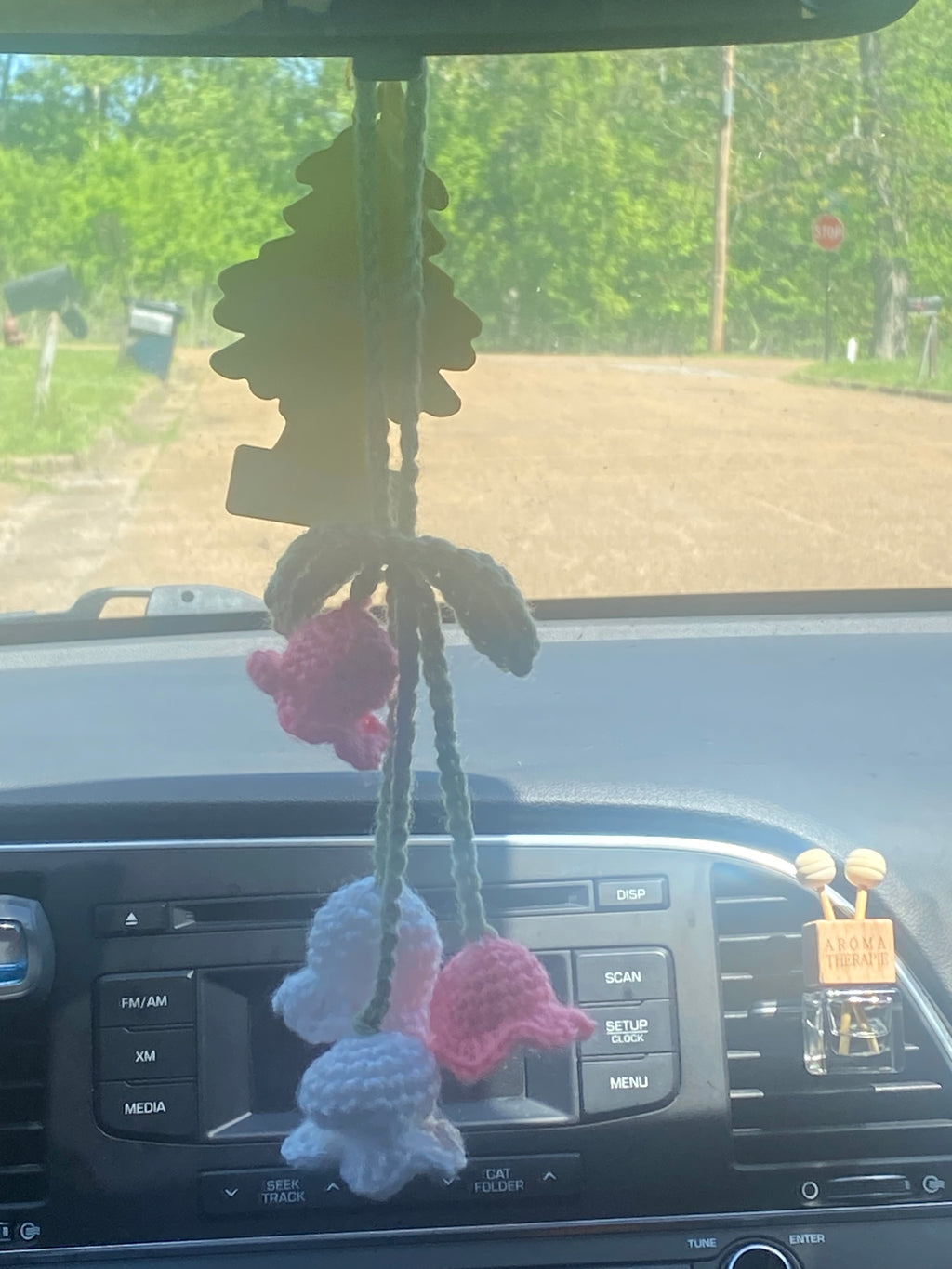Car hanging accessory