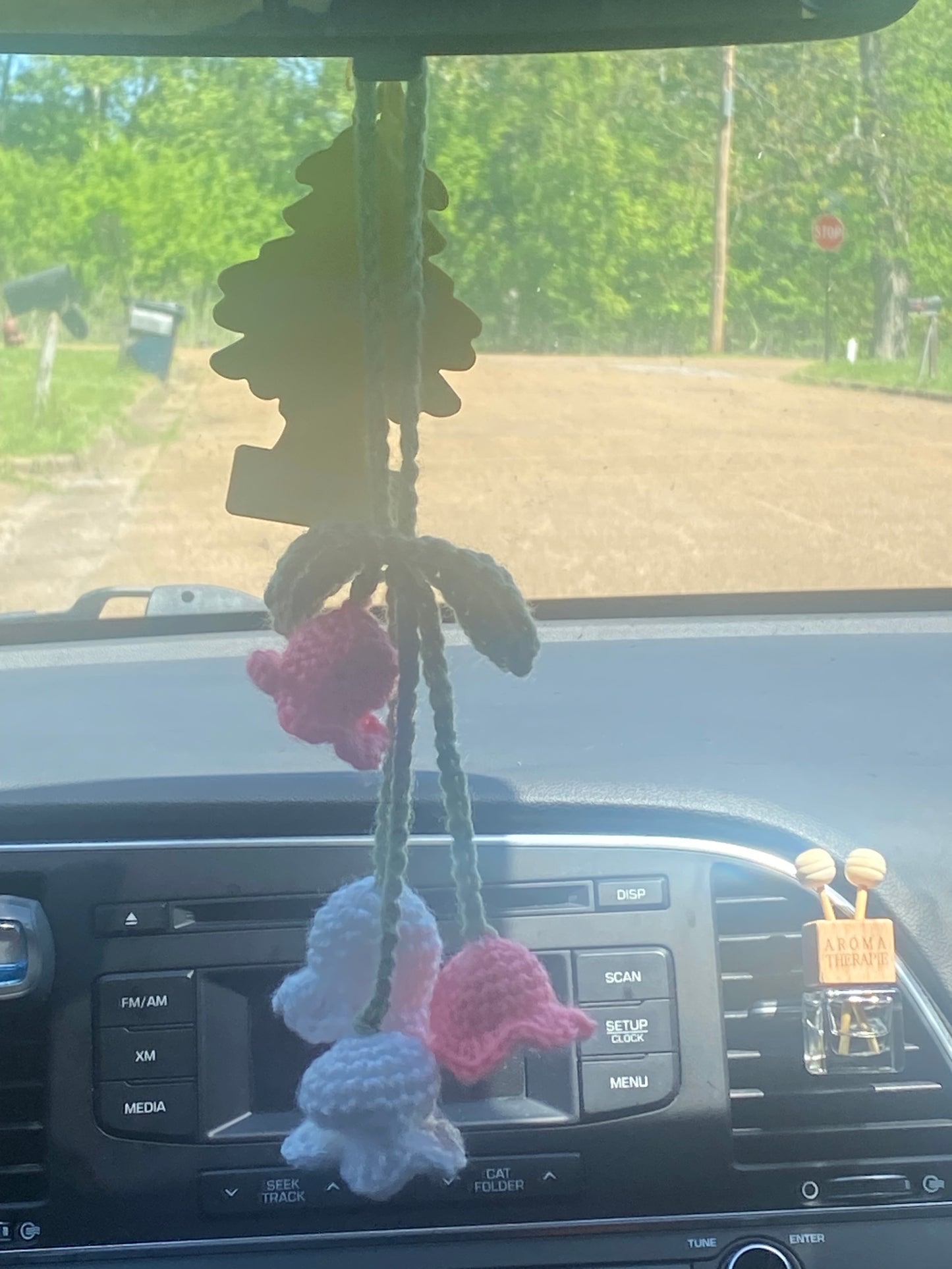 Car hanging accessory
